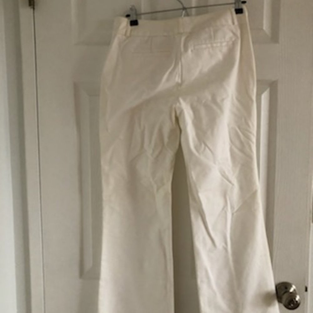 Banana Reuplic Summer Suit (Pants and Jacket) - Picture 9 of 15